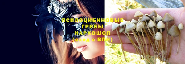 гашик Абинск