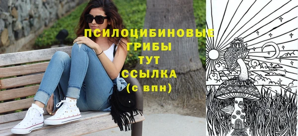 соль ск Абдулино