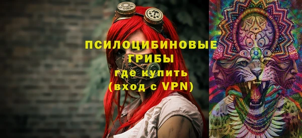 соль ск Абдулино